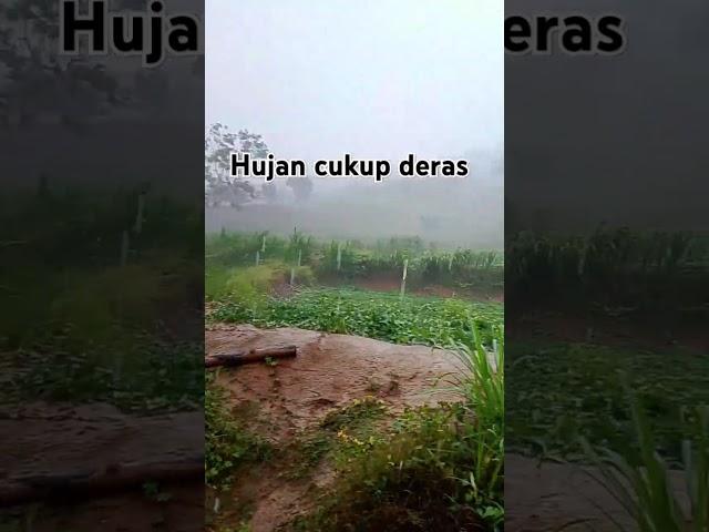 hujan deras ‼️