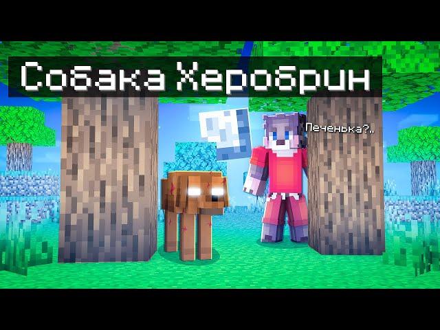 МОЯ СОБАКА СТАЛА ХЕРОБРИНОМ В МАЙНКРАФТ ! СОБАКА ХЕРОБРИН В MINECRAFT