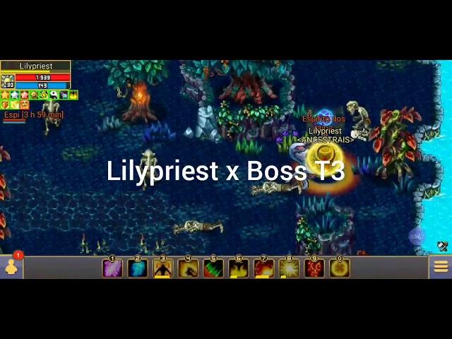 Priest Solo x Ayvondil Boss T3 /Solo Boss Ganso - Warspear Online