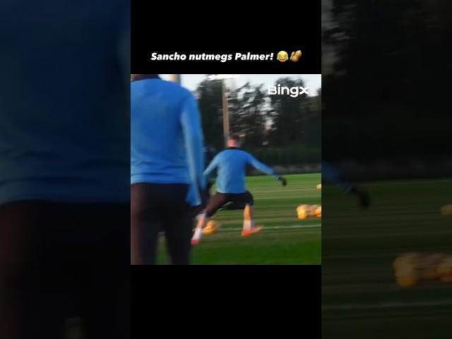 Sancho nutmeg Cole Palmer 