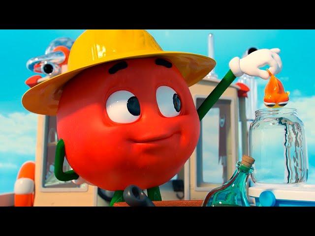 TOMATO DOPPI  Big Fish And More Craziest Adventures  FOR KIDS