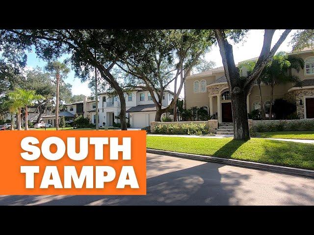 South Tampa  One of Tampa's Most Popular Areas | MELANIE ️ TAMPA BAY