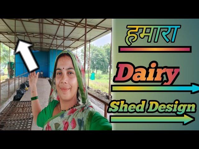 Cow Shed Design Ideas। Dairy Shed Design ।dairy farming।