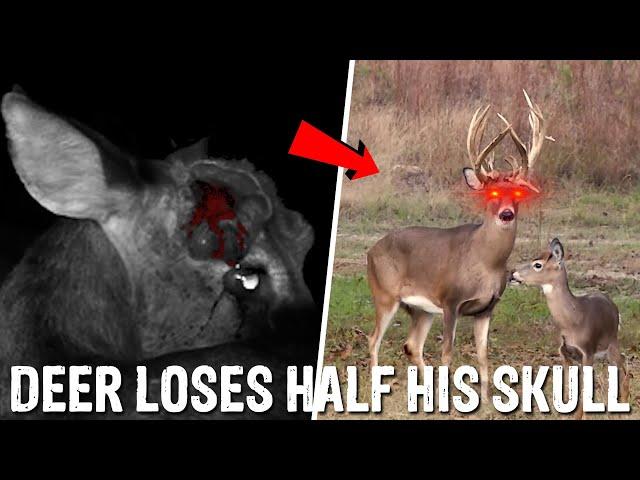 Hunting a HOMICIDAL Monster BUCK!!!