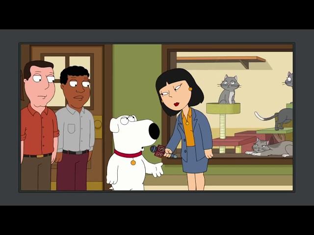 Family Guy - Brian on local TV