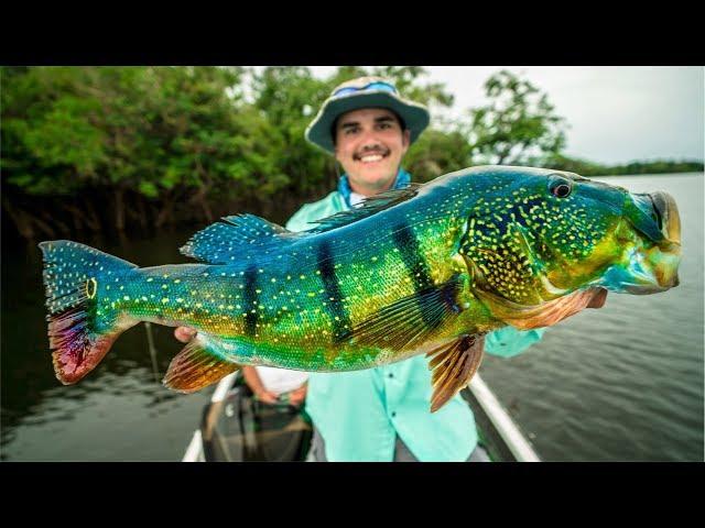 Catching GIANT Peacock Bass in the Amazon!!! (NEW PB)