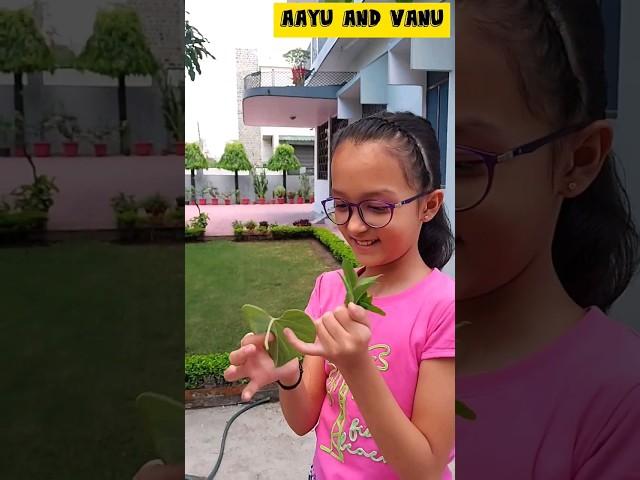 Mini Vlog 384 -  Aayu Ki Herberium File   ️  #aayuandvanu #shorts #youtubeshorts #viral