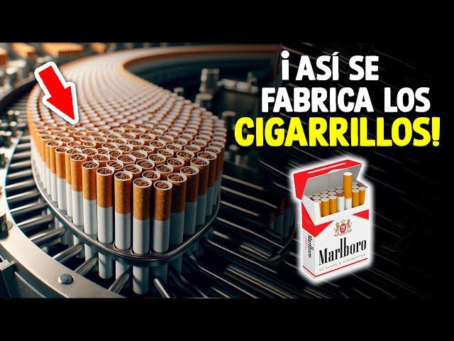 ¿Cómo Se Fabrican Los Cigarros? [Proceso En Fábrica]