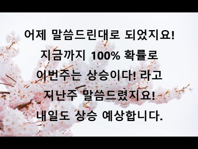 주봉 양봉전환! 월봉 아랫꼬리! 제가 말씀드린대로 되고 있습니다!