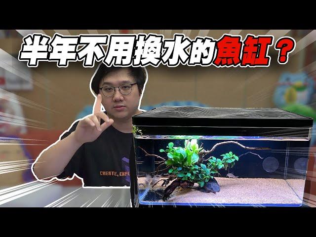 半年不用換水的魚缸？悠合生態缸真的好用嘛？！｜水族時間【黑羽】