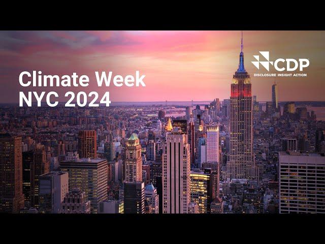 Climate Week New York City 2024 has begun.