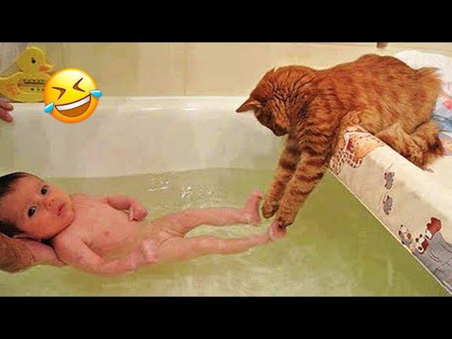 When a silly Cat becomes your best friend  The funniest animals and pets 