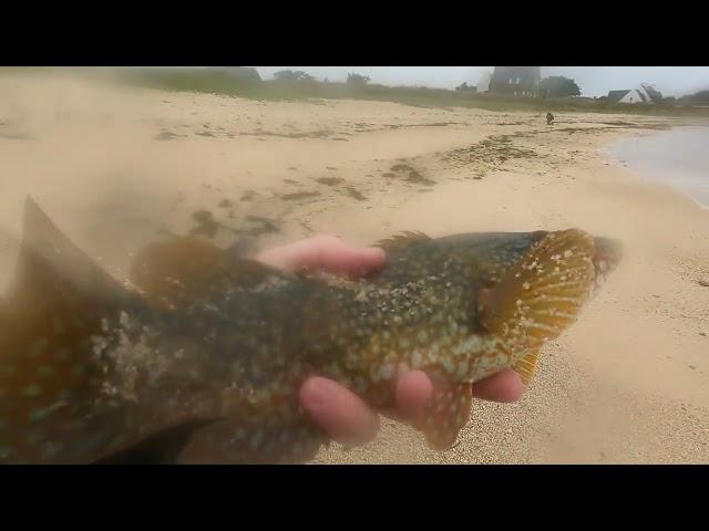 Pêche côtière: sous le soleil, ou sous la pluie, les poissons sont au rendez vous !