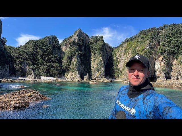 Spearfishing EPIC Aldermen Islands NZ | BIG KINGI