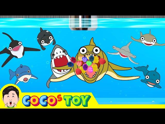 Unexpected visitor appearedㅣ sea animals stories for kidsㅣCoCosToy