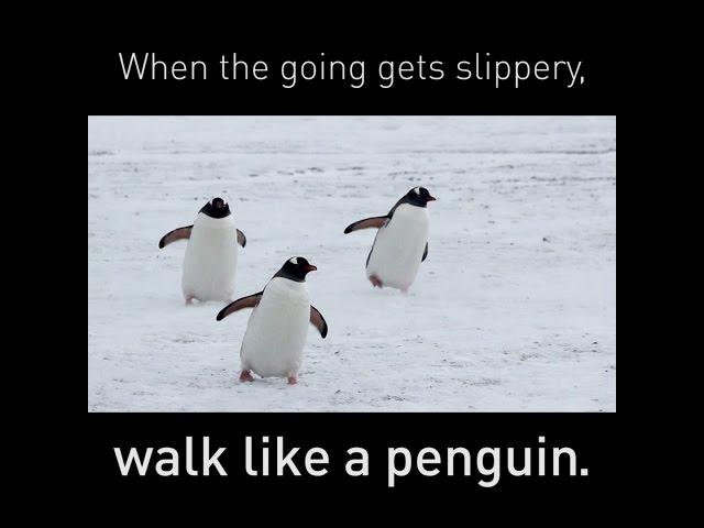 Walk like a penguin