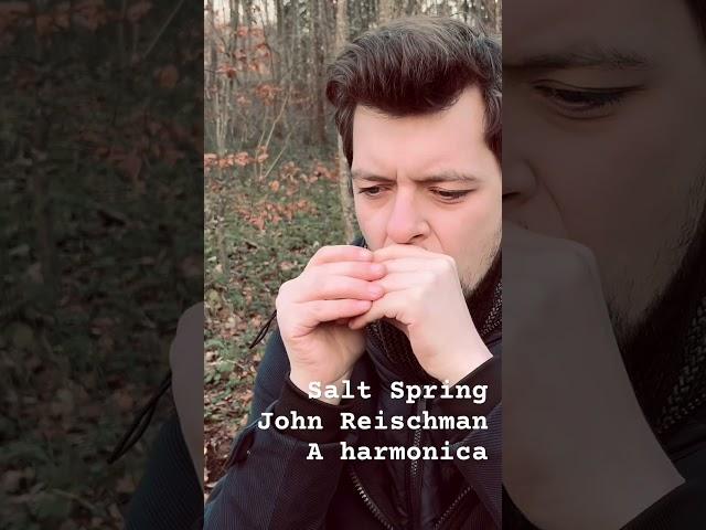 Salt Spring - John Reischman - Bluegrass harmonica #bluesharmonica #music #blues #bluegrass