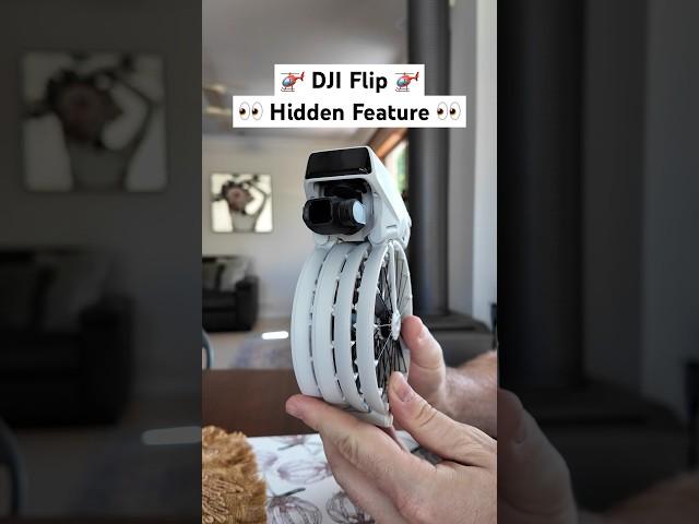 Hidden DJI Flip Feature That All Drones Should Have!