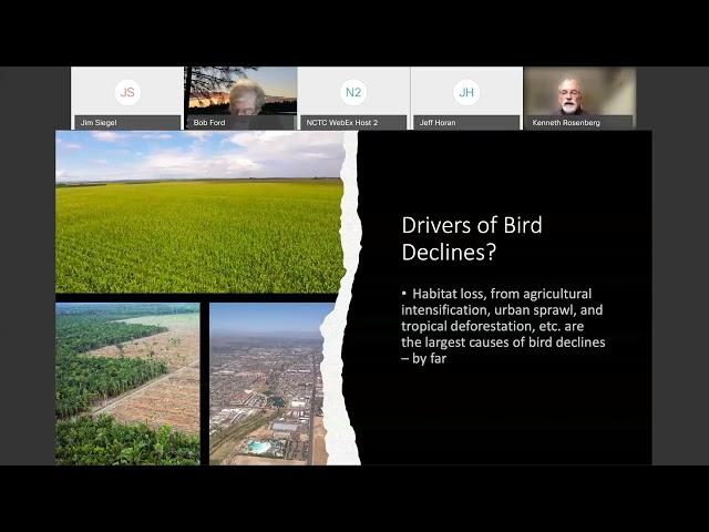 Webinar 1 Loss and Recovery of Forest Birds