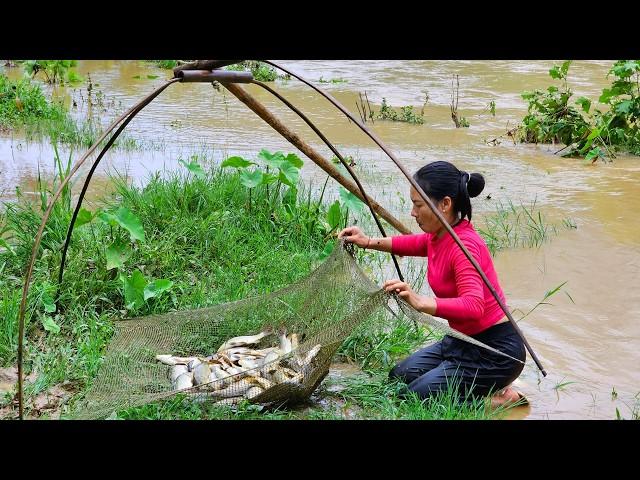 Super Typhoon Yagi causing heavy rain, flood water - Harvest fish by traditional methods - cooking