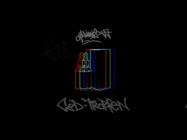 Grünis69 – Nein heißt Nein (feat. KNTS) (prod. Schmiddunsk) [Track10]
