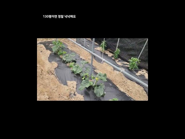 882  포항 흥해읍 매산리 토지 매물 소개: 자연과 함께하는 삶의 시작! #포항부동산 #지목부동산 #지목공인중개사 #포항주말농장매매