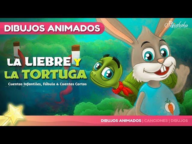 La Liebre y la Tortuga cuentos infantiles para dormir & animados