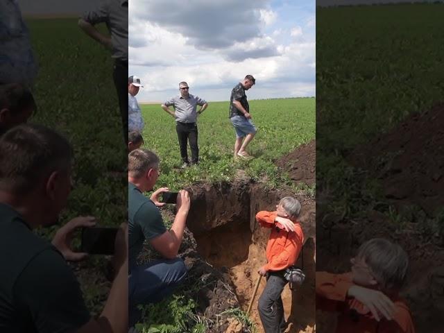 Почвенный разрез: почему надо копать глубже? (Часть 2) #сельскоехозяйство #farming #почва #агроном