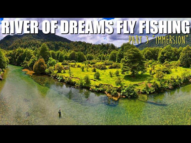 "IMMERSION" - Dry Fly Fishing the River of Dreams - Patagonia Brown Trout Fly Fishing Part 3