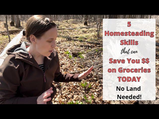 Save Money on Groceries TODAY with these Homesteading Skills (no land needed!)