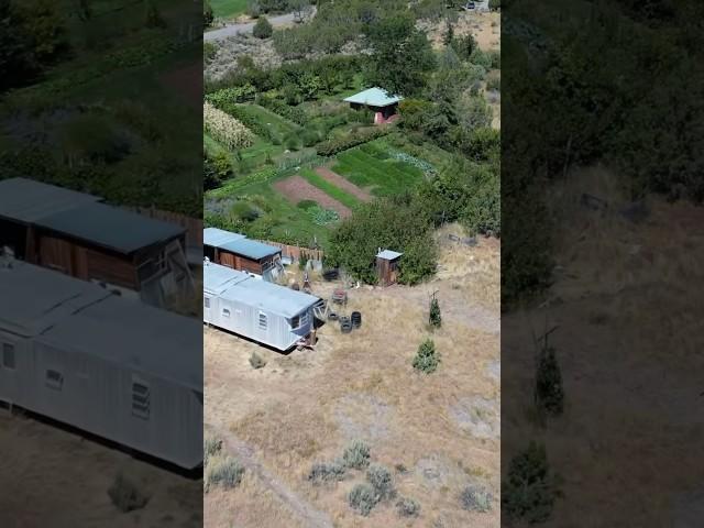 Lance transformed his 3/4 acre lot in the high desert into a lush garden #gardening  #homesteading