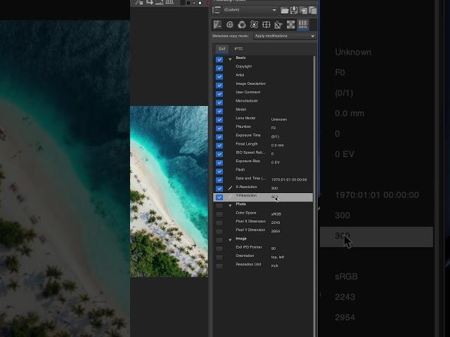 How to Change the PPI for Images Using RawTherapee: Accurately Set Your Desired PPI