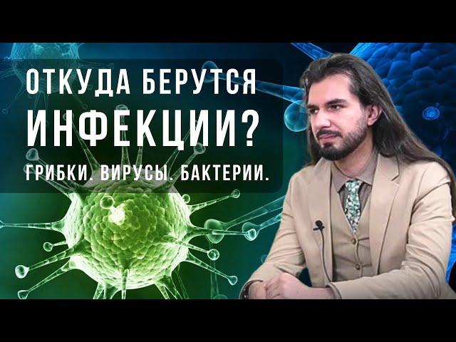 Откуда берутся инфекции?