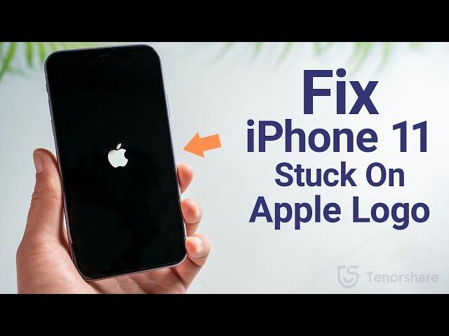 2024 How to Fix iPhone 11 Stuck on Apple Logo/Boot Loop without Losing Any Data