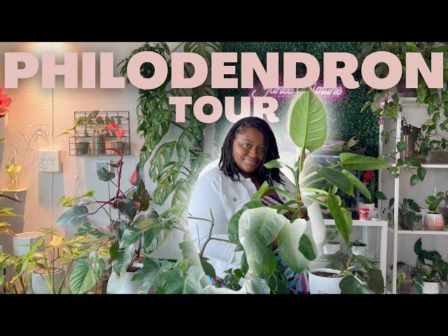 PHILODENDRON COLLECTION TOUR | Over 30 Philodendron Varieties