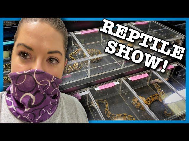 NEW PICKUPS! | July 2020 All Maryland Reptile Show|Ball Python Breeder