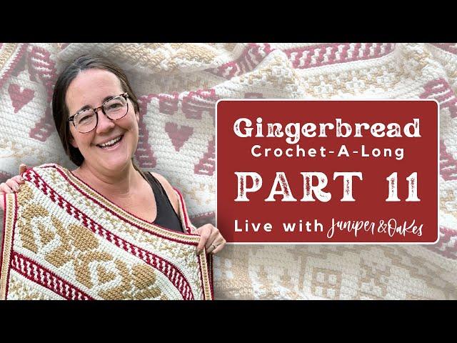 Crochet with me! Mosaic Gingerbread Blanket Crochetalong Part 11