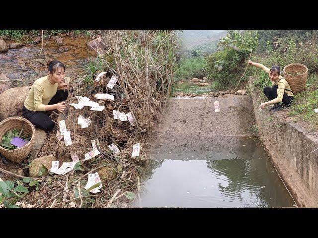 The girl found a large sum of money under the lake and an electric bike