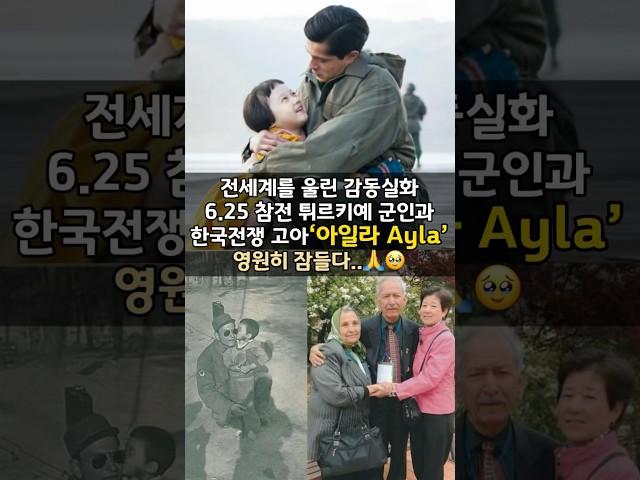눈물의 감동영화 아일라 Ayla,그녀를 기억해주세요…