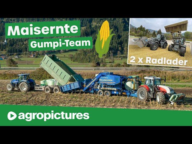 Gumpi Team in der Maisernte 2021 | Maisballen pressen mit Göweil Vario Master und Steyr Traktoren