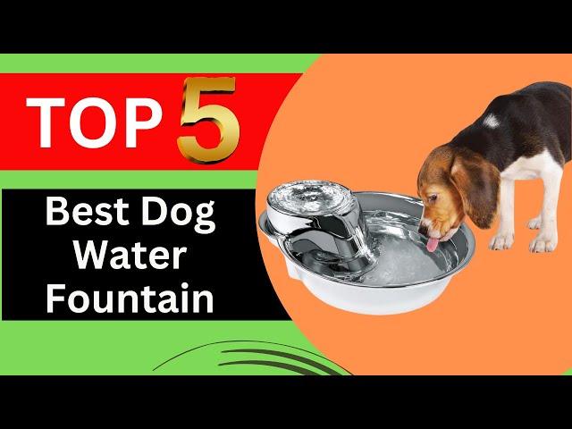 Top 5 Best Dog Water Fountain in 2024