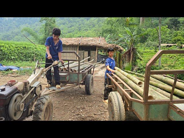 Transporting bamboo to build a kitchen, the boy's daily life raising chickens, ducks, and pigs