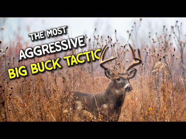 You should have this aggressive BIG BUCK tactic in your pack pocket...