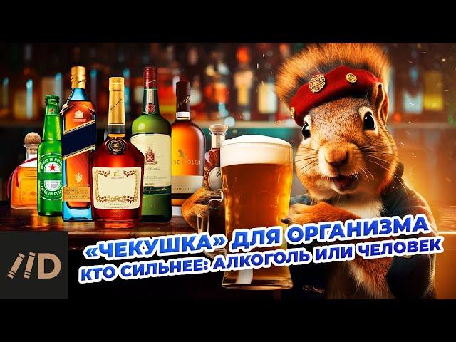 "Чекушка" для организма. Кто сильнее: алкоголь или человек? | Решетун