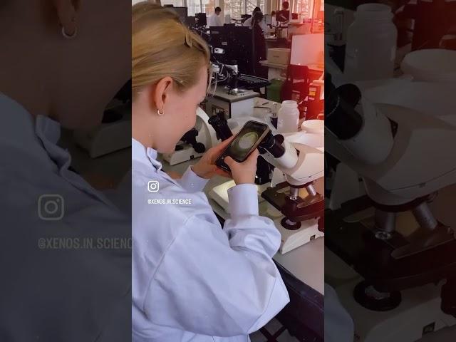 #Биология прекрасна  #микробиология #практикум #биофак