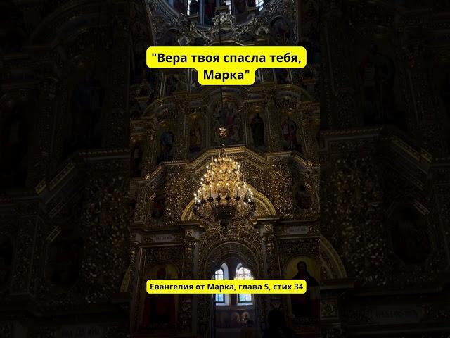 "Вера твоя спасла тебя, Марка" - это фраза, взятая из Евангелия от Марка, глава 5, стих 34.