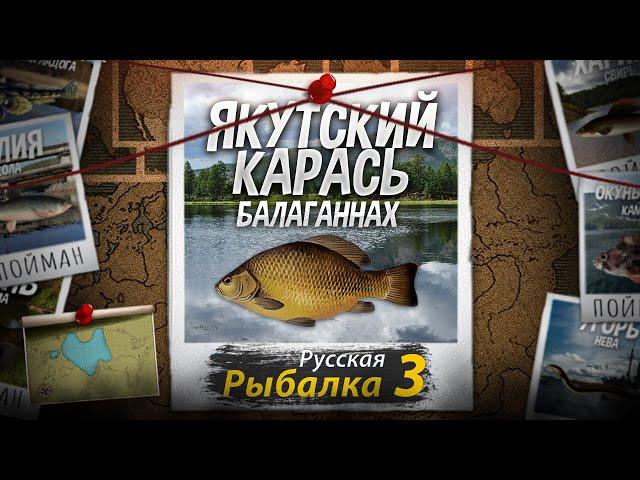 "Мутант" Якутский Карась. Русская Рыбалка 3.