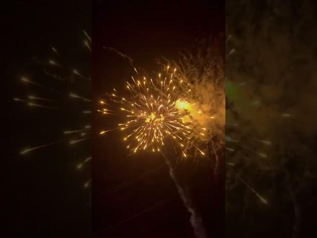 Halen 64 shot firework 