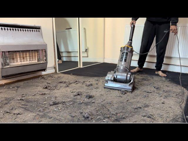 Dyson DC33 Multi Floor vacuum cleaner - Performance Testing