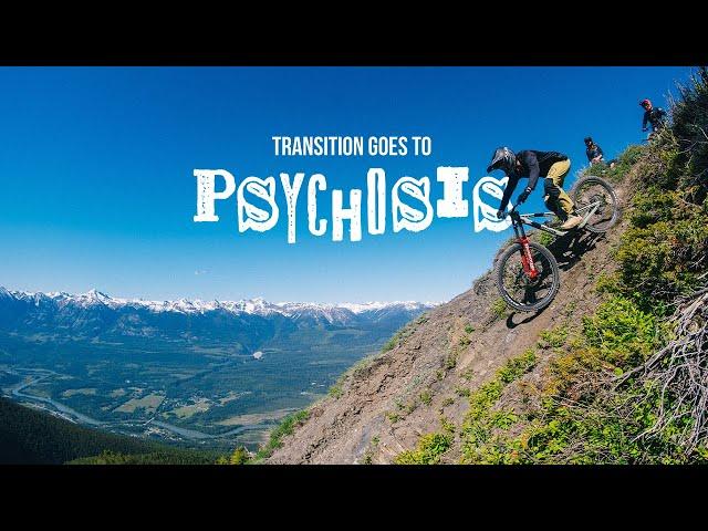 Transition Goes to Psychosis!